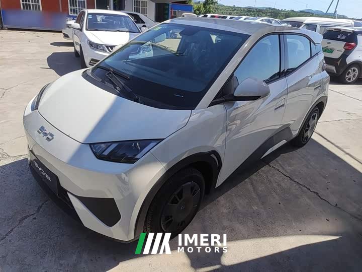 BYD Seagull Smart Drive 305km Vitality Edition