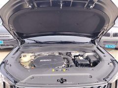 GAC Aion GS8 Pioneer Series 2.0T GDI FWD Luxury Smart Connected Edition 7-Seater - ფოტო 20