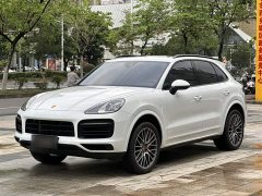 Porsche Cayenne S 2.9T Platinum Edition - ფოტო 1