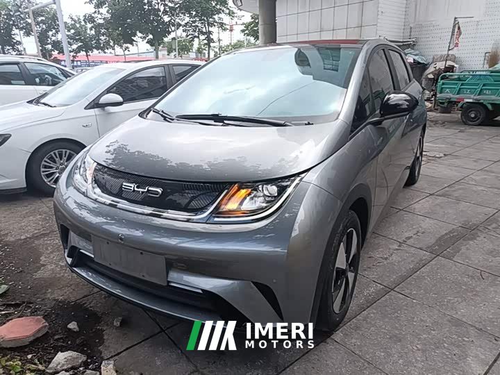 BYD Dolphin 2023 420km Fashion Edition - ავტომობილი ჩინეთიდან