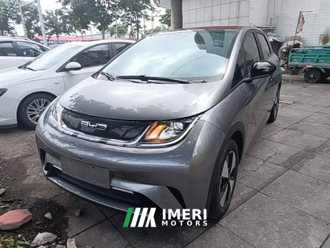 2024 BYD Dolphin 2023 420km Fashion Edition - ავტომობილი ჩინეთიდან