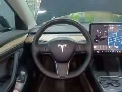 Tesla Model 3 Standard Range RWD Upgrade 3D6 - ფოტო 11