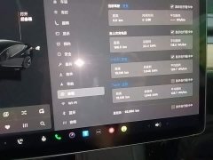 Tesla Model 3 Standard Range RWD Upgrade 3D6 - ფოტო 12