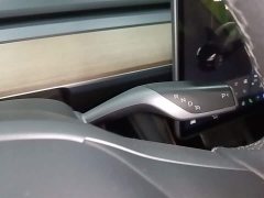 Tesla Model 3 Standard Range RWD Upgrade 3D6 - ფოტო 14