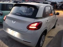 Wuling Binguo 203km Light Enjoy Edition - ფოტო 7
