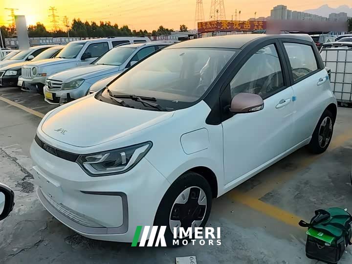 Yttrium Flower Fairy Cherished Edition 301km Lite - автомобиль из Китая