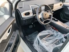 Yttrium Flower Fairy Cherished Edition 301km Lite - фото 16