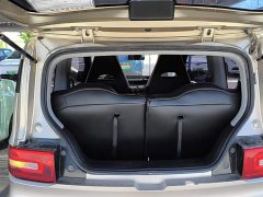 Wuling Hongguang MINIEV 2020 Zizai Trim Ternary Lithium - ფოტო 19