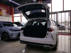GAC Aion GS4 PLUS 390T Automatic Galaxy Edition - ფოტო 19