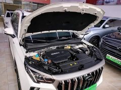 GAC Aion GS4 PLUS 390T Automatic Galaxy Edition - ფოტო 20