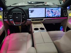 Li Auto L6 Pro - ფოტო 10