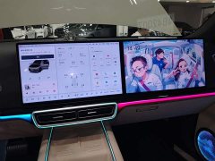 Li Auto L6 Pro - ფოტო 13