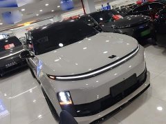 Li Auto L6 Pro - ფოტო 4