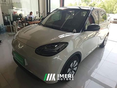 2024 Wuling Bingo 333km Lingxi Connected Plus