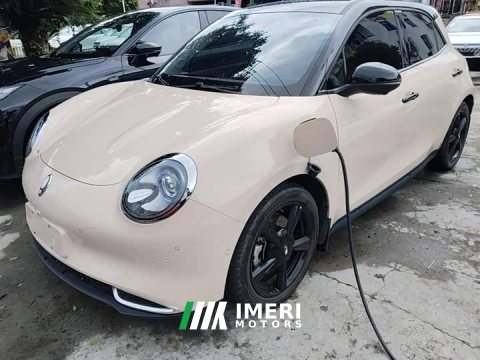 2024 ORA Good Cat 401km Deluxe 135kW - ავტომობილი ჩინეთიდან
