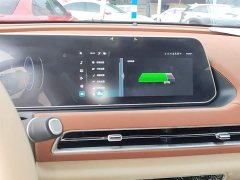 ORA Good Cat 401km Deluxe 135kW - ფოტო 13