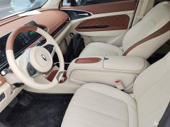 ORA Good Cat 401km Deluxe 135kW - ფოტო 15