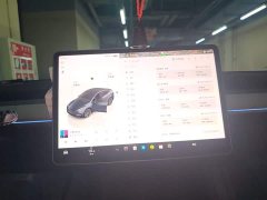 Tesla Model Y Rear-Wheel Drive - ფოტო 13