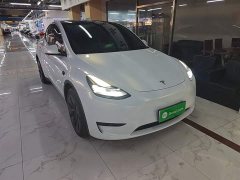 Tesla Model Y Rear-Wheel Drive - ფოტო 4