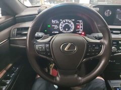 Lexus ES 2020 300h Premium Edition - ფოტო 11