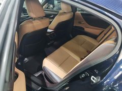 Lexus ES 2020 300h Premium Edition - ფოტო 17