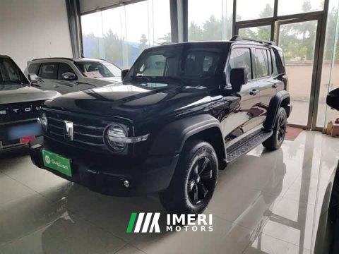 2024 Tank 300 2.0T Conqueror - ავტომობილი ჩინეთიდან