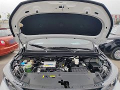 GAC Aion M6 2023 PRO 270T DCT Luxury - ფოტო 20