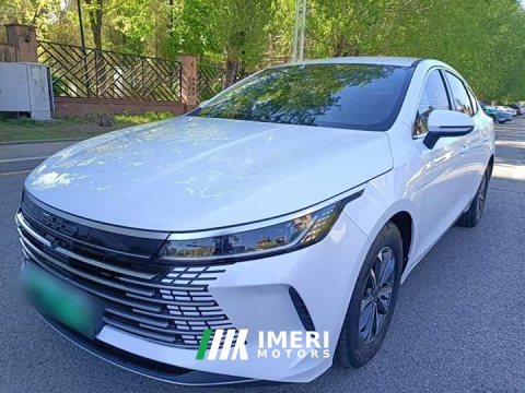 2024 BYD Destroyer 05 Glory Edition DM-i 55KM Luxury - ავტომობილი ჩინეთიდან
