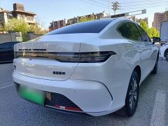BYD Destroyer 05 Glory Edition DM-i 55KM Luxury - ფოტო 5