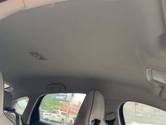 BYD Destroyer 05 Glory Edition DM-i 55KM Luxury - ფოტო 8