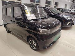 Wuling Zhiguang New Energy 201km Comfort - ფოტო 4