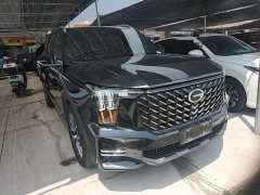 GAC Aion GS8 Pioneer Series 2.0T GDI FWD Luxury Smart Connected 7-Seater - ფოტო 3