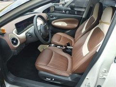 Wuling Binguo 333km Lingxi Connected Plus - ფოტო 15