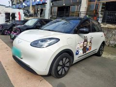 Wuling Binguo 333km Lingxi Connected Plus - ფოტო 2