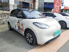 Wuling Binguo 333km Lingxi Connected Plus - ფოტო 4