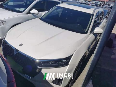 2022 Venucia Raize 260T Auto 48V Mild Hybrid Turbo Star Enjoy Success Edition