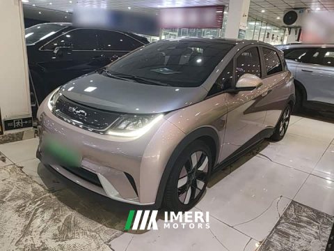 2022 BYD Dolphin 401km Knight Edition - ავტომობილი ჩინეთიდან