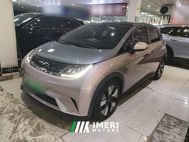 BYD Dolphin 401km Knight Edition