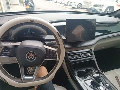 BYD Qin PLUS 2023 Champion Edition DM-i 55KM Leading - ფოტო 10