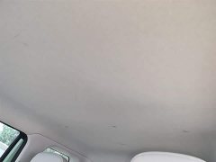 Changan Lumin 205km Pure Fragrance Edition - ფოტო 18