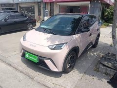 BYD Seagull Glory Edition 305km Freedom Version - ფოტო 1