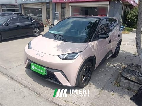 2024 BYD Seagull Glory Edition 305km Freedom Version - ავტომობილი ჩინეთიდან