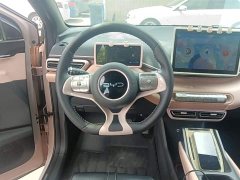 BYD Seagull Glory Edition 305km Freedom Version - ფოტო 11