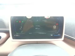 BYD Seagull Glory Edition 305km Freedom Version - ფოტო 12