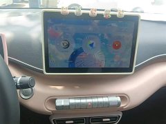 BYD Seagull Glory Edition 305km Freedom Version - ფოტო 13