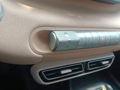 BYD Seagull Glory Edition 305km Freedom Version - ფოტო 14