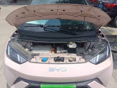 BYD Seagull Glory Edition 305km Freedom Version - ფოტო 20