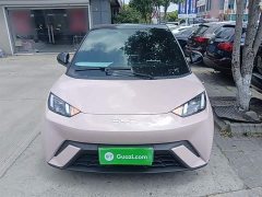 BYD Seagull Glory Edition 305km Freedom Version - ფოტო 3