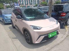 BYD Seagull Glory Edition 305km Freedom Version - ფოტო 4