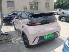 BYD Seagull Glory Edition 305km Freedom Version - ფოტო 5